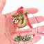 MeMate Baby's First Christmas Ornament 2026, Personalized Baby Ornaments with Name, Baby Ornament for Boys Girls, Christmas Baby Keepsakes for Newborn Infant Son Daughter - Updated image 6