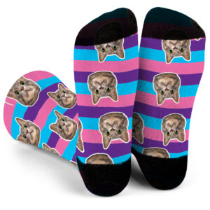 Colorful Pet Socks