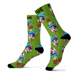 Funny Pet Socks