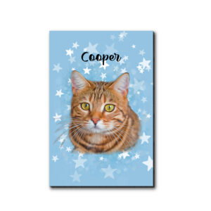 My Super Star Pet Desktop Plaque