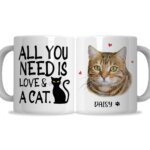 All You Need Is Love And A Cat Mug