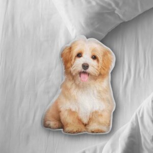 Pet Dog Custom Photo Pillow