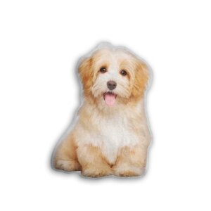 Pet Dog Custom Photo Pillow