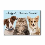 Pets In Our Home Custom Portrait Canvas