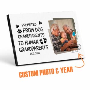 Promoted From Dog Grandparents To Human Grandparents Personalized Desktop Plaque