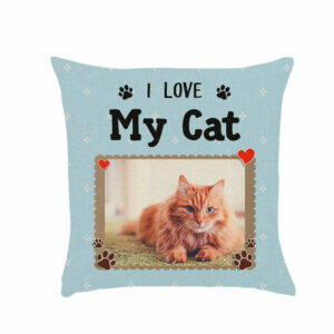 I Love My Cat Pillow